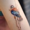 I didn't know you had a tattoo | Cynthia Farrell | 110 West Group
