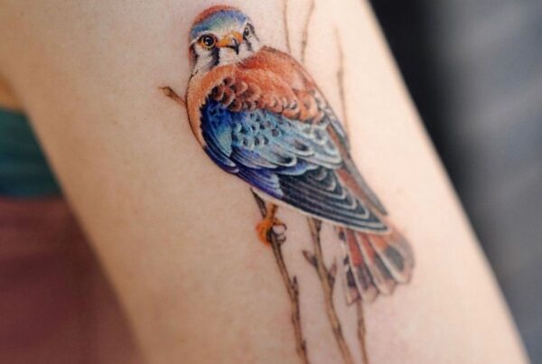 I didn't know you had a tattoo | Cynthia Farrell | 110 West Group