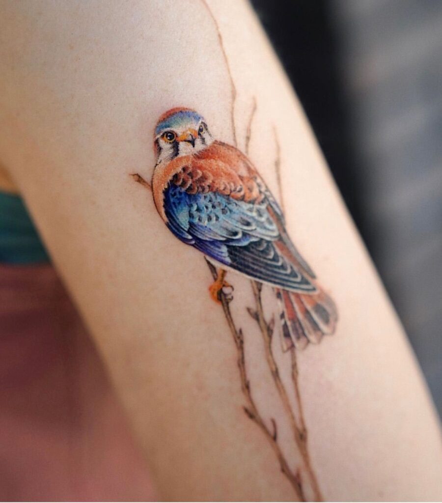 I didn't know you had a tattoo | Cynthia Farrell | 110 West Group