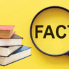 Fact or Story | Cynthia Farrell | 110 West Group