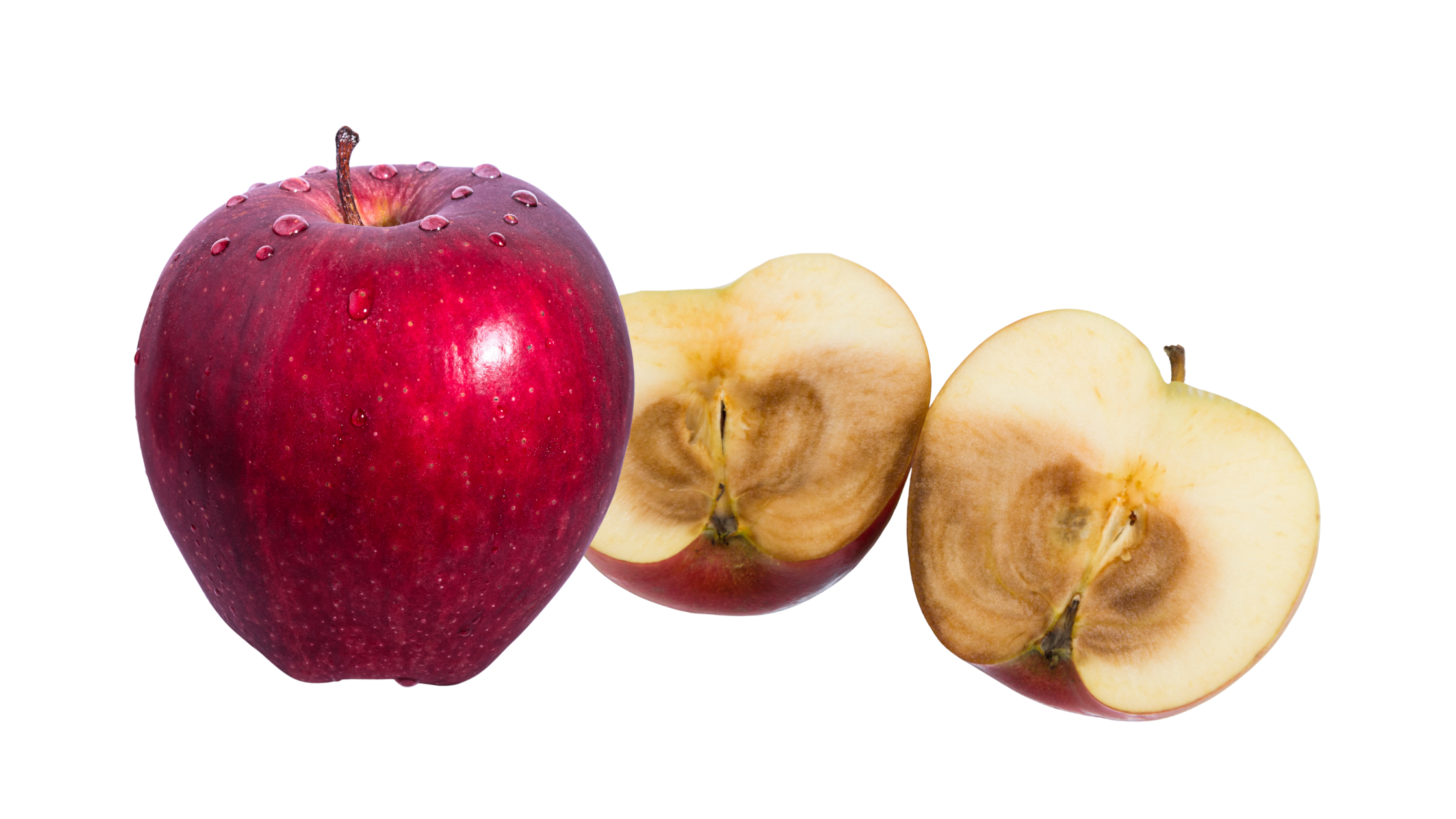 Real Change or Just a Logo Redesign? | 110 West Group | Cynthia Farrell