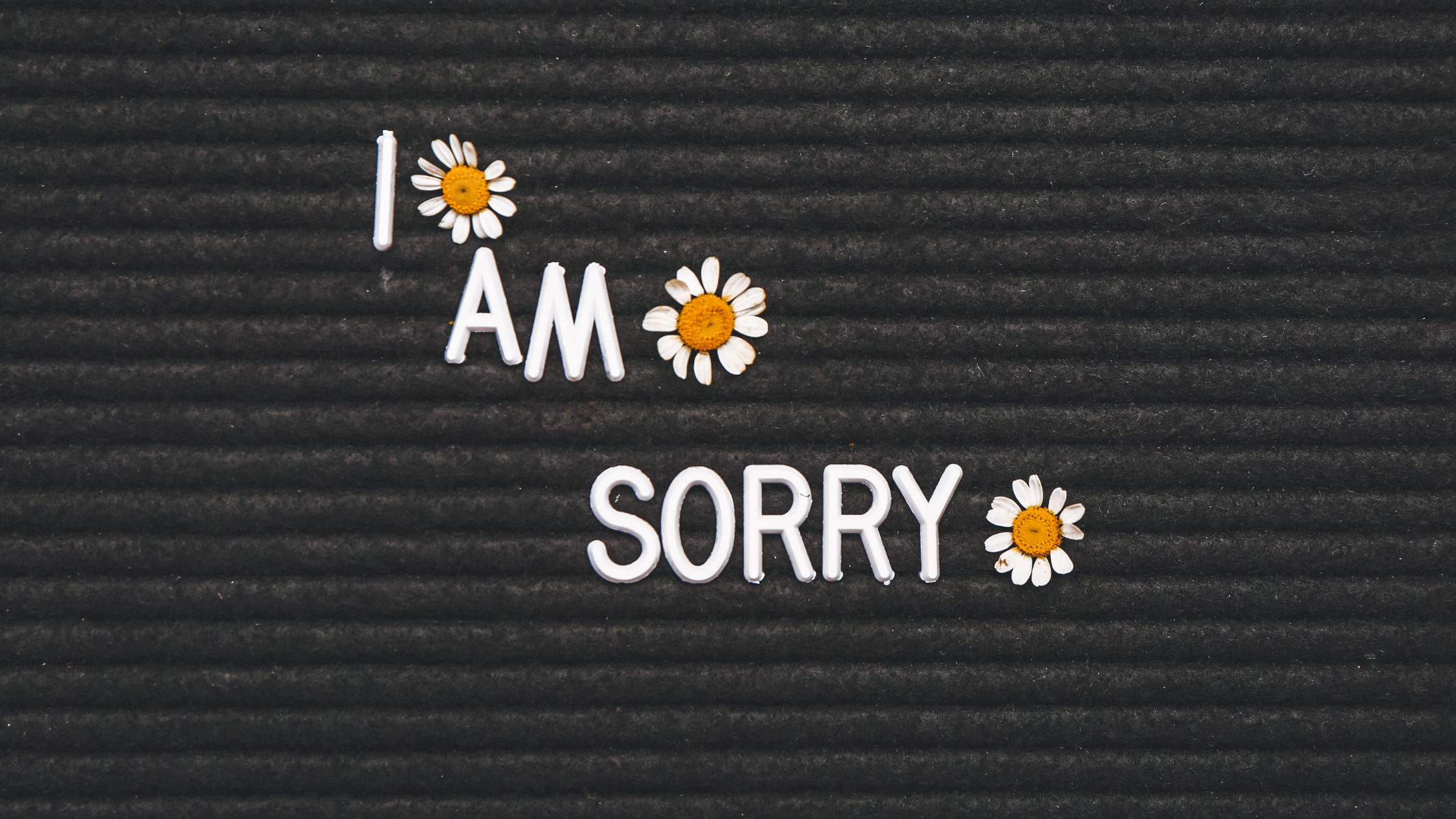 How Do You Respond When Someone Apologizes? | 110 West Group | Cynthia Farrell