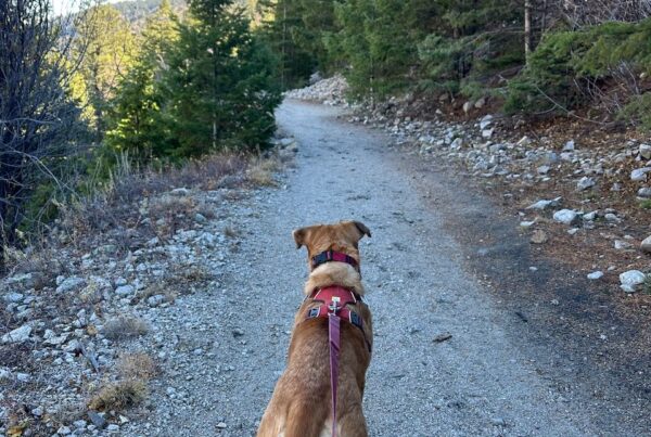 Checking In | 110 West Group | Cynthia Farrell