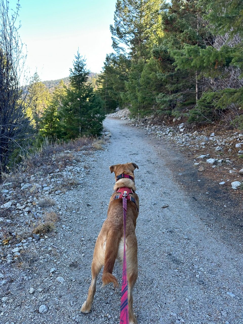 Checking In | 110 West Group | Cynthia Farrell