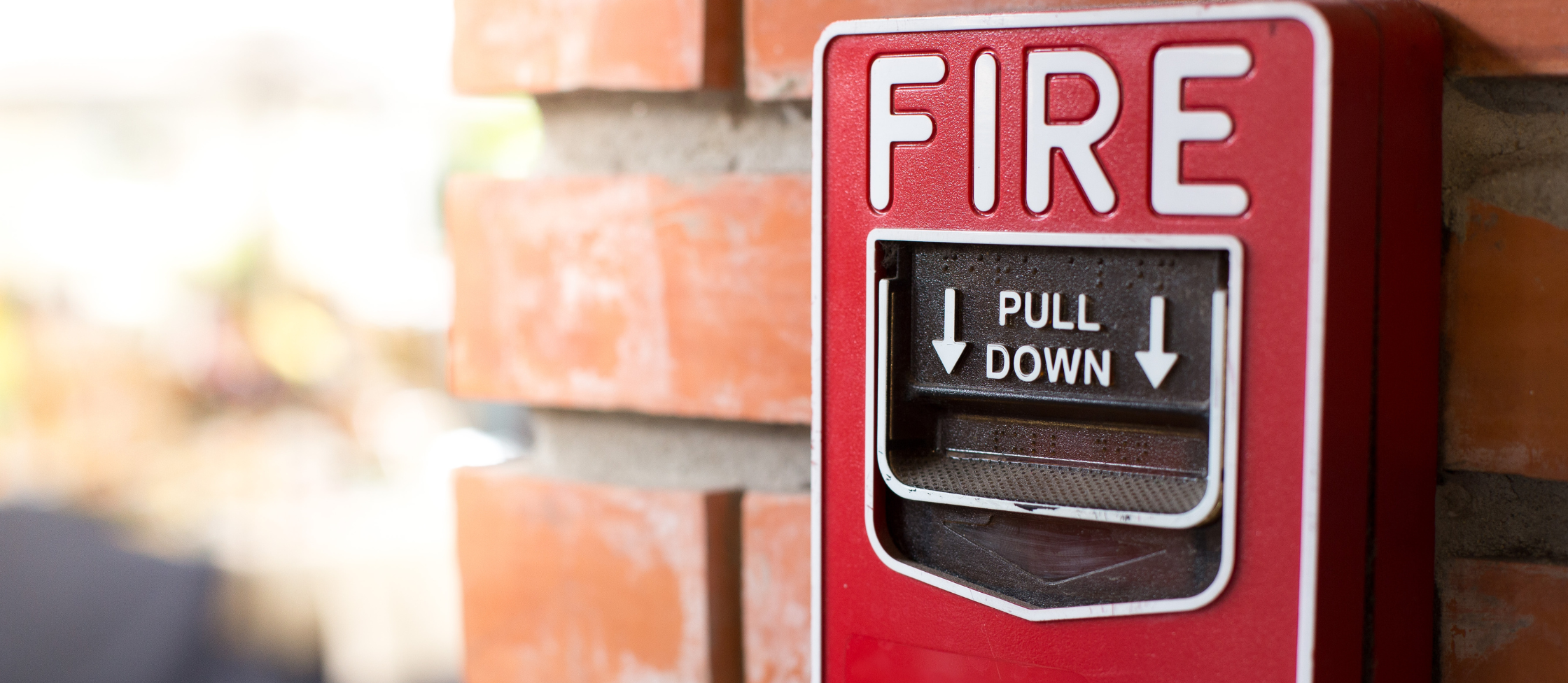 Adrenaline Leadership | 110 West Group | Cynthia Farrell