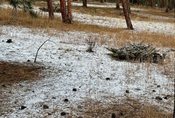 Excitement Reality then Dread | 110 West Group | Cynthia Farrell