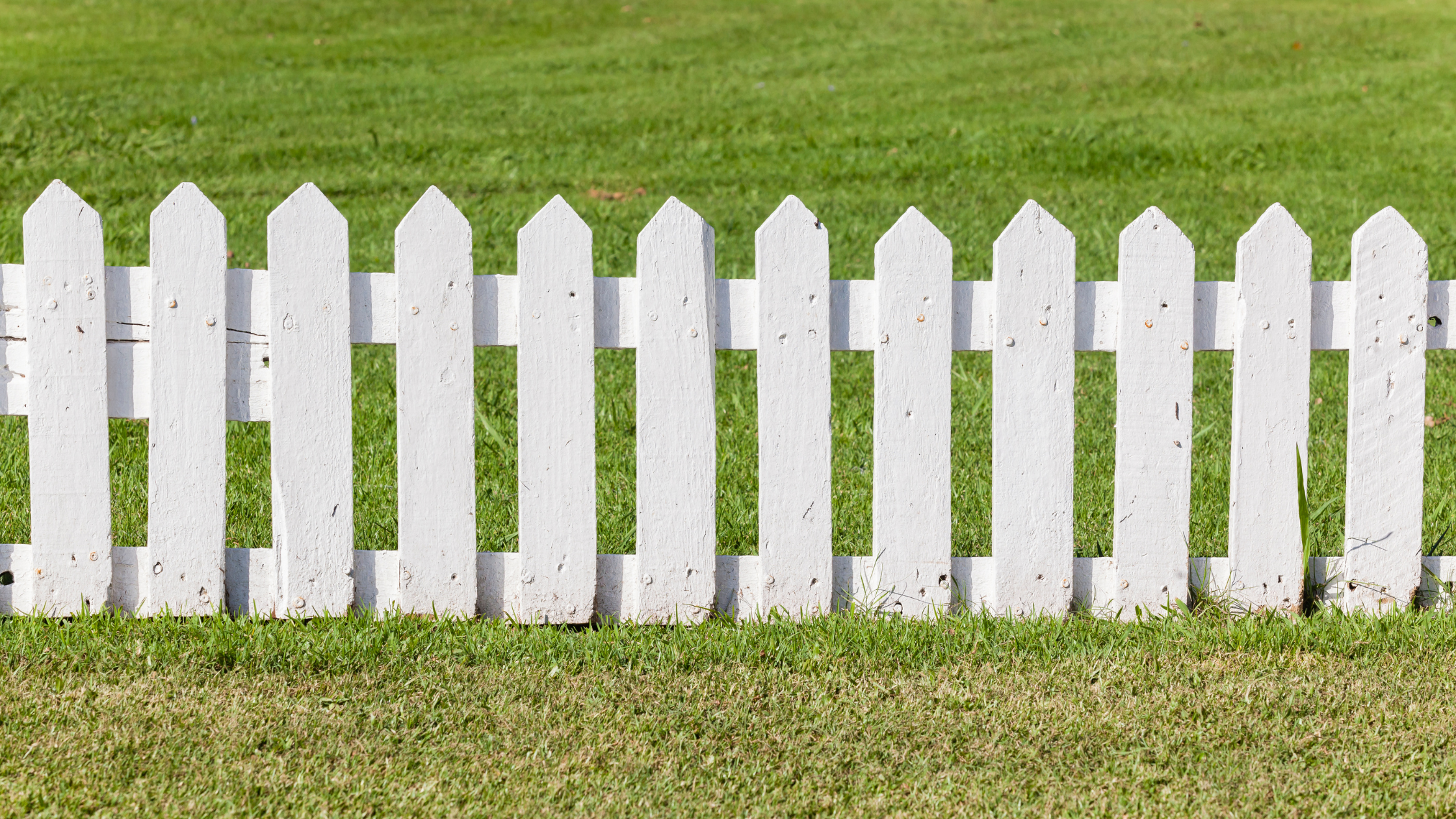Being Rude or Setting Boundaries? | Cynthia Farrell | 110 West Group